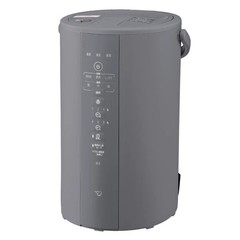 Zojirushi Steam Humidifier E-DF50 HA AC100V 480ml/h 4.0L NEWEST MODEL GRAY