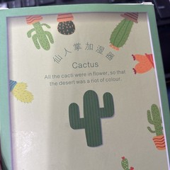 Air Humidifier Mist Cactus Design With Led Lights Decoration For Bedroom Office