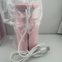 Portable USB Facial Humidifier Skin Moisturizer Mist Sprayer Mini Air Humidifier