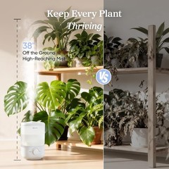 Ultra-Quiet 2.5L Humidifier with Auto Shut-Off: Ideal for Bedrooms & Nurseries