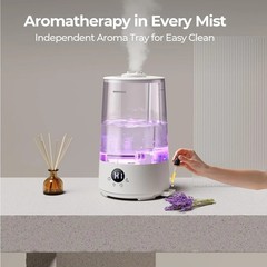 Easy-to-Clean 3.6L Cool Mist Humidifier – Relief from Dryness & Congestion