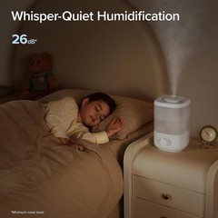 Humidificadores De Aire Frío Y Silencioso Con Tanque De 2,5L Para Dormitorio NEW