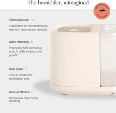Large Room Humidifier, Moonstruck, Large Living Space, 36HR Run Time, 5.5L Tank