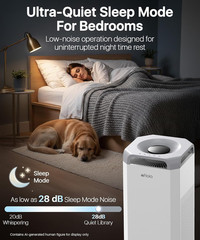 Humidifier for Bedroom & Large Room – Mist Free Evaporative Humidifier and Air P