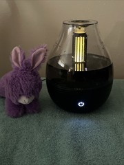 Mainstays 0.31 Gallon Ultrasonic Cool Mist Humidifier With Aroma And Nightlight