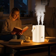 Dual Spray Humidifier Digital Screen USB Recharge Cool Mist Desktop Humidifier