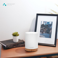 300ML Essential Oil Diffuser, Quiet 5-In-1 Premium Humidifier, Valentine’S Day G
