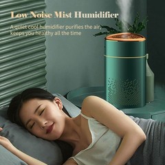 1000mL Mist Humidifier Diffuser With Colorful Night Light Quiet Cool GQNY