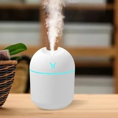 1PC Compact USB Aroma Diffuser & Humidifier with LED Night Light – Pink & Mint G