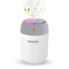 HISOME Air Humidifying Apparatus, Mini Portable LED Personal Desktop Humidifier
