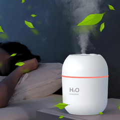 Usb Rechargeable Humidifier Home Office Desk Humidifier Portable Mini Humidifier