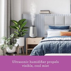 Holmes 1-Gallon Top-Fill Ultrasonic Cool-Mist Humidifier with Disinfectant, Used