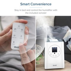 Large Room Ultrasonic Humidifier 6L Warm & Cool Mist, Essential Oil Diffuser, Qu