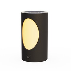 600ml Portable Diffuser with LED Lights Battery Rechargeable Air4601