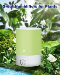 2.5L Cool Mist Ultrasonic Air Humidifier with Top Fill & Quiet, 360° Nozzle US