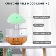 Rain Cloud humidifier