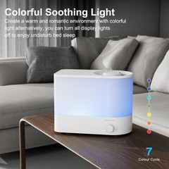 Sleek 6L Cool Mist Humidifier – Energy-Saving Operation