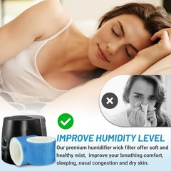 Enhanced Efficiency HC-888 Filter for Walgreens 890-WGN