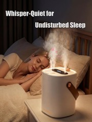 Humidifier for Bedroom, 2L Cool Mist Humidifier with Essential Oils Diffuser …