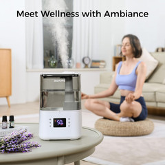 4.5L Warm and Cool Mist Ultrasonic Humidifier for Bedroom Large Room, Top Fill E