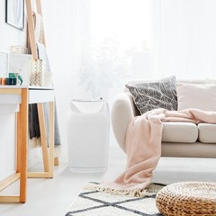 Space-Saver Evaporative Whole House Humidifier (2 300 sq ft)