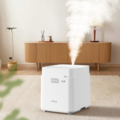 Stainless Steel Humidifier, Warm Mist Humidifier 3.3L/0.87Gal, Steam Humidifier