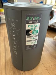 Zojirushi Steam Humidifier EE-DF50 AC100V 480ml/h 4.0L NEWEST MODEL GLAY