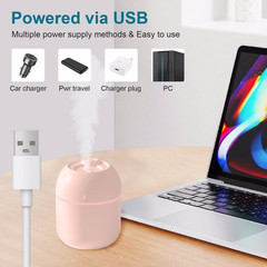 Portable USB Cool Mist Humidifier For Bedroom Office Car Travel Plants 220ml