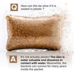 Septic Tank Treatment – 1 Year Supply of Easy Flush Live Bacteria Packets (12) –
