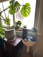 Mainstay warm mist humidifiers