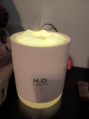 H2O Portable Mini Humidifier