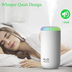 Indoor Plant Humidifier Portable Desk Travel