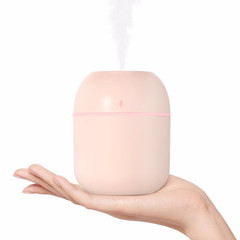 Portable USB Cool Mist Humidifier For Bedroom Office Car Travel Plants 220ml