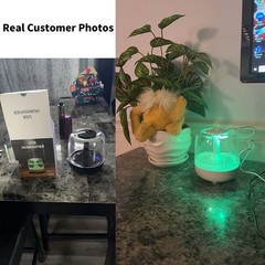 Quiet Night Light Dual-Mist Humidifier 650ml Capacity for Bedroom & Office USA