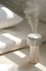 LUMENA ​​Wireless Lighting Humidifier Mist Stand