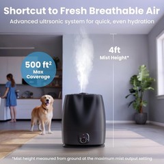 New No Filter 6L Humidifier Black