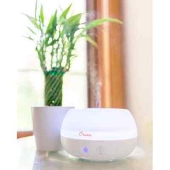 CRANE USA PERSONAL COOL MIST HUMIDIFIER AND AROMA DIFFUSER WHITE