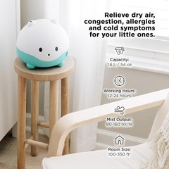 Cute Humidifier W/ Night Light Aromatherapy Diffuser Hygrometer Kids Room New