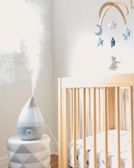 Whisper-Quiet 1 Gal Ultrasonic Cool Mist Humidifier with Auto Shut-Off