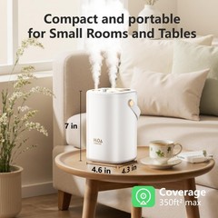 Dual Spray Humidifier Digital Screen USB Recharge Cool Mist Desktop Humidifier