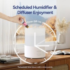 Raydrop Humidifiers for Bedroom, 3.0L Cool Mist Humidifiers for Large Room & Hom
