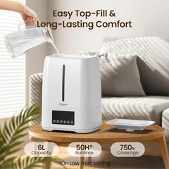 Top Fill Humidifier Cool Warm Mist 6L Auto Mode Quiet Sleep Aromatherapy New
