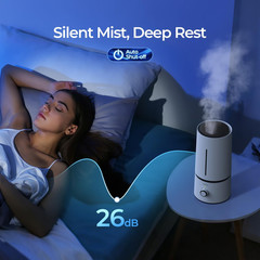 Cool Mist Humidifiers for Home Babies, 1.70 L Quiet and Small Ultrasonic Humidif