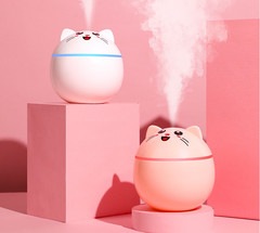 Mini Kitty humidifier