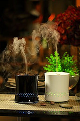 Ultrasonic Aroma Diffuser/Humidifier with White Ceramic Housing