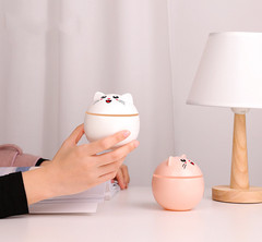 Mini Kitty humidifier