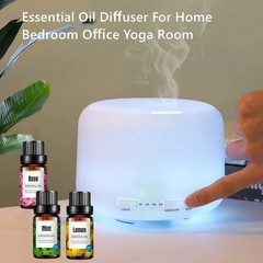 Air Humidifier Aroma Diffuser With Power Adapter, Essential Oil Machine With Sev