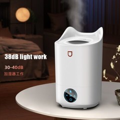 Air Humidifier Double Nozzle 3L Humidity Monitoring Display USB Aroma Diffuser