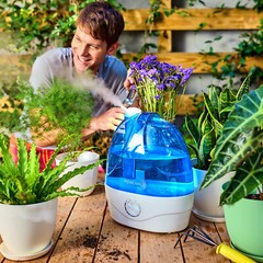 AquaOasis™ Mist Humidifier {6L Water Tank} Quiet Ultrasonic Humidifier Large Rm