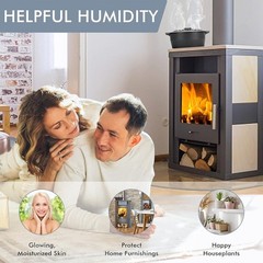 Cast Iron Wood Stove Steamer Humidifier 2.8L Aroma Diffuser Decorative Pot New